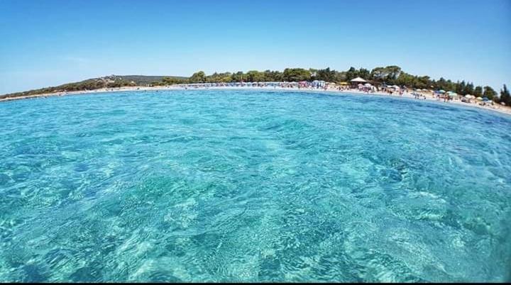 Villa Panoramica Immersa Nel Verde Porto Pino Exterior foto